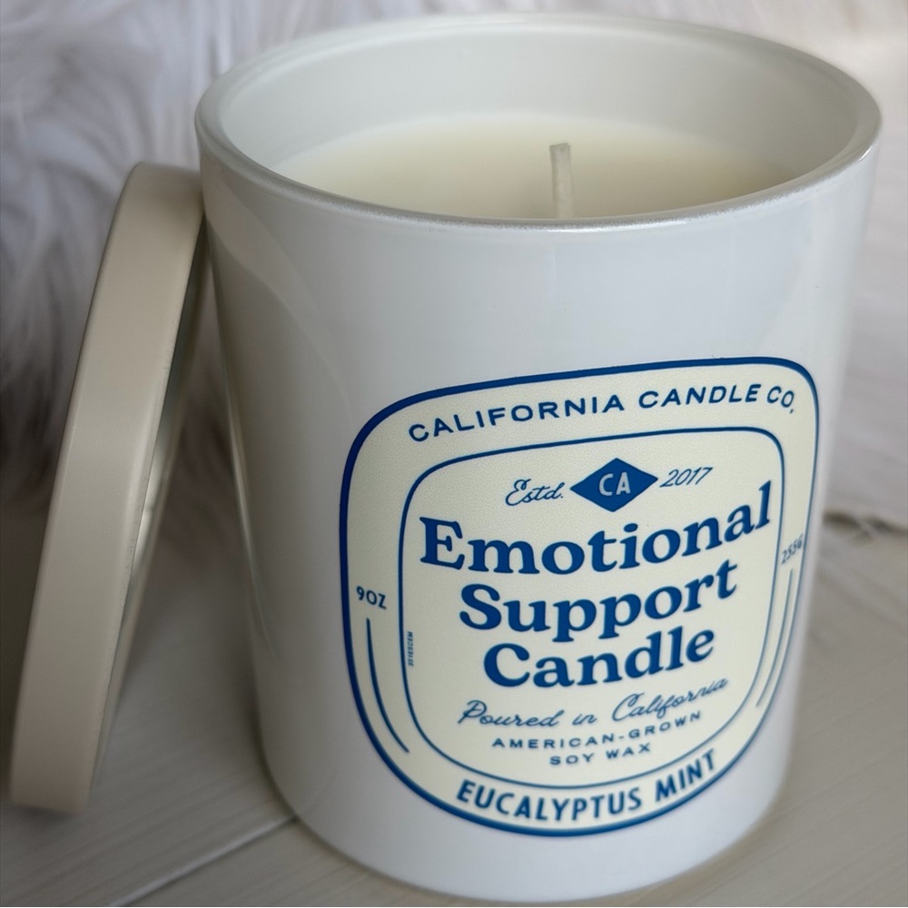 Emotional Support 9oz Candle - Soy Wax Eucalyptus Mint Scent